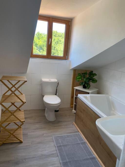 Spacious 1 Bed Home With Shared Pool Champagnac-la-Rivière 외부 사진